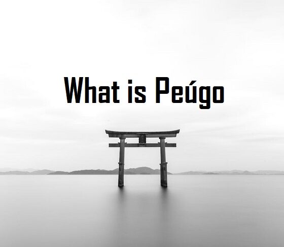 peúgo Publishing platform for digital magazines