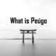 peúgo Publishing platform for digital magazines