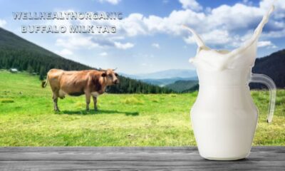 Unveiling the Goodness of WellHealth Organic Buffalo Milk: A Tag of Nutrient-Rich Purity