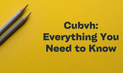 Cubvh: What You Need to Know