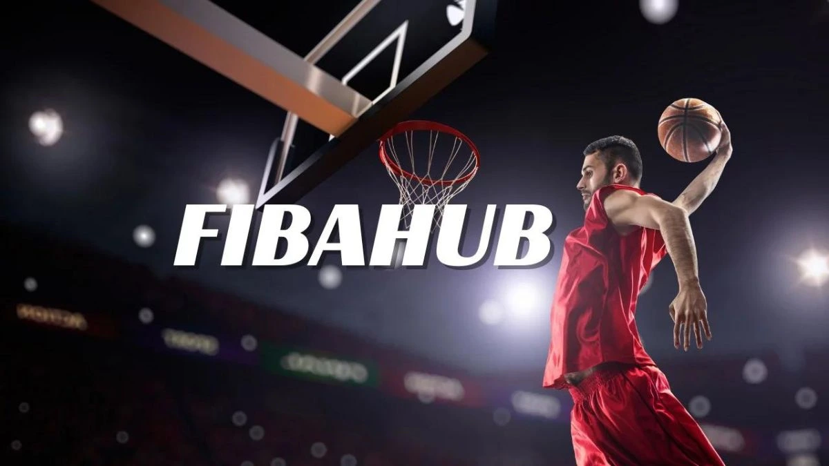 What Is Fibahub? A Comprehensive Guide