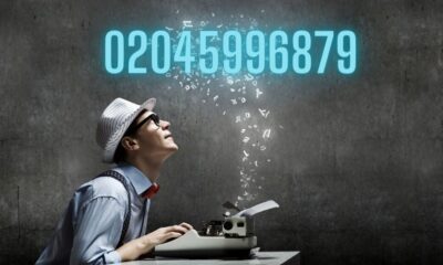 Decoding the Enigma of “02045996877”
