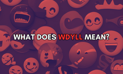 What Does WDYLL Mean?