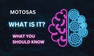 Unveiling the Power of Motosas: What You Need to Know