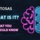 Unveiling the Power of Motosas: What You Need to Know