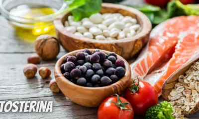 A Detailed Guide On fitosterina - Everything You Should Know