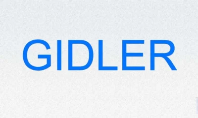 Unscrambled 74 words from letters in GIDLER: Decoding the Puzzle