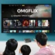 Unlock the World of Entertainment with OMGFlix