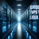 WINDOWS VPS VS. LINUX VPS: PICKING THE RIGHT OS FOR YOUR NEEDS IN 2024