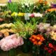 Send flowers to Dubai from the best florists