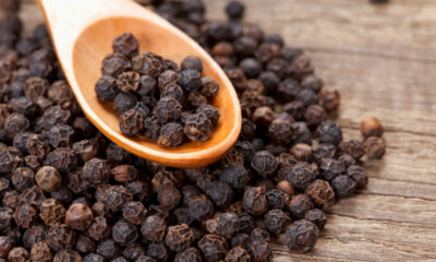 Piperine Benefits & Best Uses