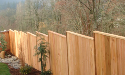 Choosing the Best Fencing Material for Your Home